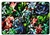 Succulent Garden Pixel Perfect Rug - Rectangle - 6' x 9'